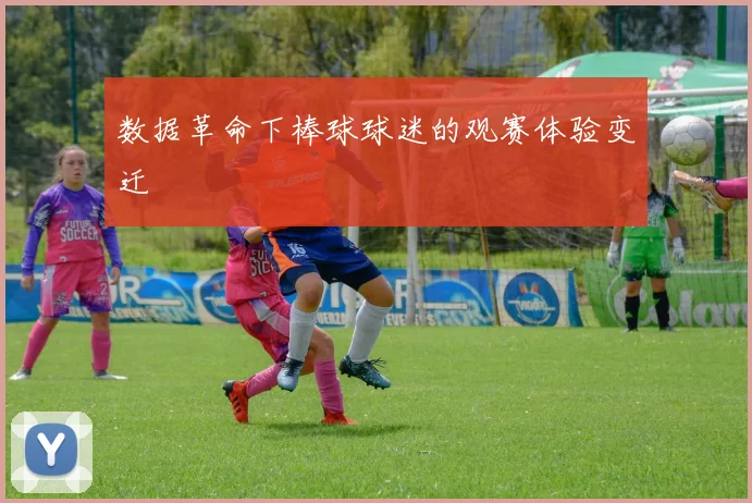 数据革命下棒球球迷的观赛体验变迁