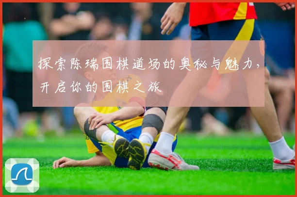 探索陈瑞围棋道场的奥秘与魅力，开启你的围棋之旅