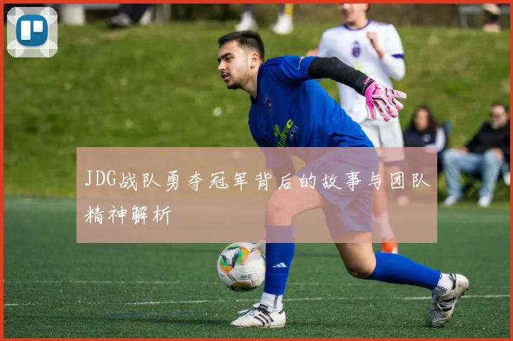 JDG战队勇夺冠军背后的故事与团队精神解析