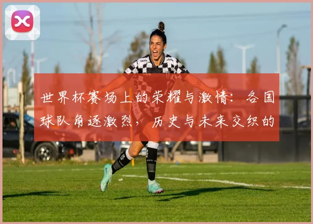 世界杯赛场上的荣耀与激情：各国球队角逐激烈，历史与未来交织的足球盛宴