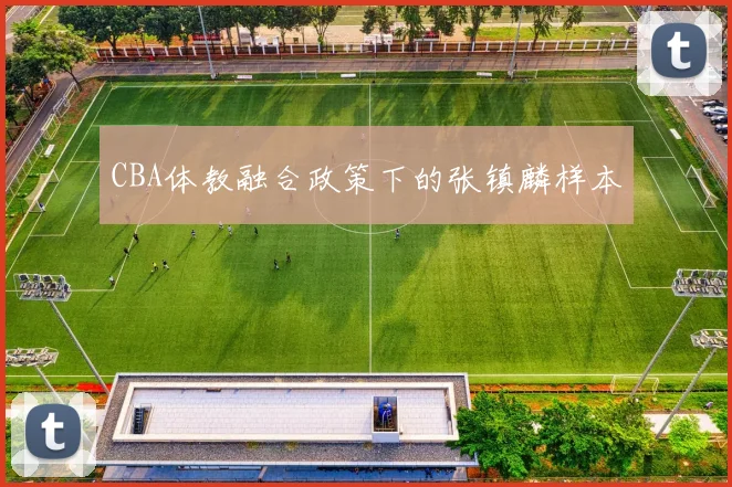 CBA体教融合政策下的张镇麟样本